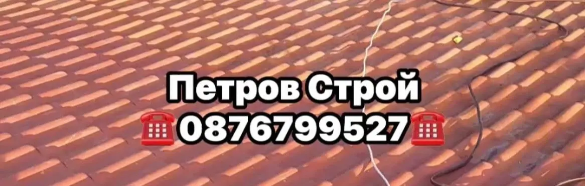 Снимка на Лазар Василев, предлагащ изграждане на покриви